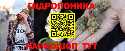 прущая мука Новодвинск